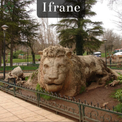 Ifran Morocco’s Hidden Gem in the Atlas Mountains.